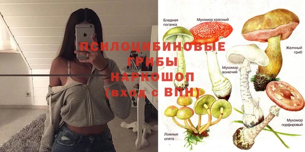 прущая мука Алзамай