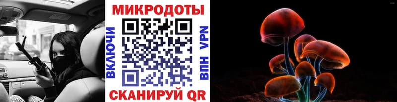 Псилоцибиновые грибы Psilocybe  закладка  Орлов 